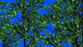 Free Blue Screen Tree - Part 1
