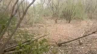 Kahrain Kay Kareeb | Pabbi Forest Park Official | Ali Hassan Butt 760 Official | Episode 2 ?