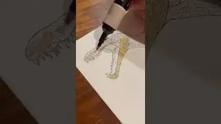 Drawing the Suchomimus From Jurassic World Camp Cretaceous Chaos Theory