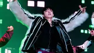 Vata's SMF Concert Performance Cut