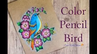 Color Pencil Bird Drawing/ Pencil Shading Flowers and Bird