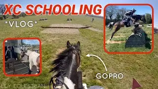CROSS COUNTRY SCHOOLING AT BONFLEUR VLOG *i nearly fell off...*