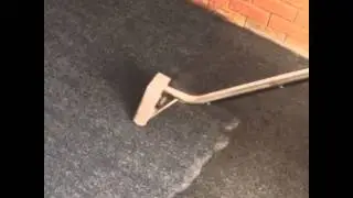 Carpet Cleaning Sydney