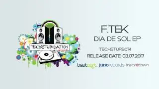 F.Tek - Scorpion (Original Mix) TECHSTURB074