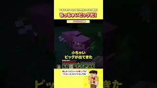 ちっちゃいピッグだ！【マイクラ】