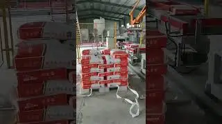 4 axis robotic palletizer for bag stacking #machine #manipulator #automobile #palletizer