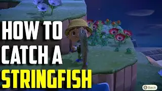 How to Catch a Stringfish | Stringfish ACNH | Animal Crossing New Horizons Stringfish | Stringfish