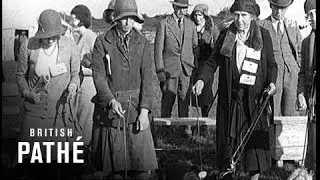 Clonmel Dog Show (1931)