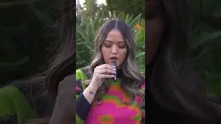 G Pen Micro+ Hit