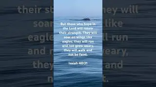 ☝🏼Isaiah 40:31 ✝️ #ThankYouJesus #ThankYouGodAlmighty #Yahweh #Jesus #ThankYouJesusChrist #Messiah
