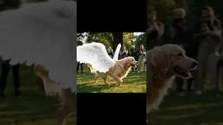 Cute Dog Has Wings? 🐶✨ Flying Angel Dog! #Dog #AI #wings