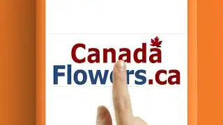 Canada Flowers   Blooming Beauty, Delivered Across Canada!
