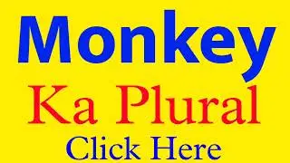 Monkey ka plural | Monkey plural | Monkey plural form | plural form of Monkey
