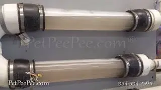 Oriental rug PetPeePee odor removal Guarantee!!!