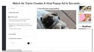 How viral traffic hack works - Viral Traffic Hack Review - Viral Traffic Hack Download