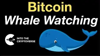 Bitcoin: Whale Watching