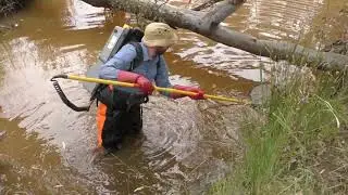 Finding fish in Mt Cole Creek