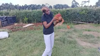 Cooking a Delicious Chicken Dinner in an African Village | Traditional Village Cooking