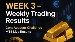 Week 3 &ndash; Tracking 5 Forex & Gold Strategies on MT5