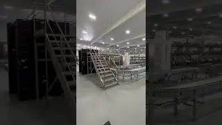 Custom fully automated lemon packing facility by Packline Technologies #agriculturetechnology