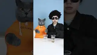Cat And The Blind Hitman's Ending Shocked Everyone 😱💥#oscarfunnyworld #funnycat  #shorts