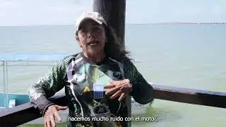 Transformación de motores de gasolina a eléctrico en Campeche
