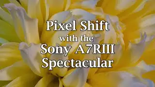 Pixel Shift with the Sony A7RIII - Spectacular