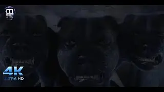 Three headed dog - Harry Potter and the Philosopher's Stone 