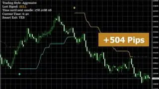 Forex Monarch in Action