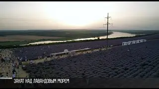 Лавандовый праздник от рассвета до заката