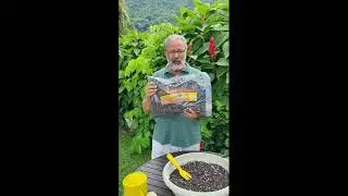 Substrato Org&acirc;nico BASE Rei Alt&iacute;ssima Drenagem