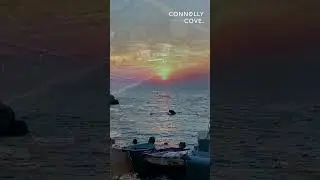 Cinque Terre | Liguria | Italy | Italian Riviera | Things To Do In Liguria | Italy Travel Guide
