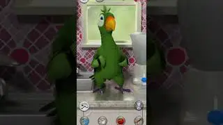 Говорящий Пьер обзор