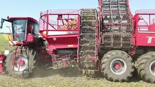 S&uuml;dzucker Moldova