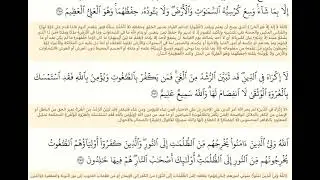 آية الكرسي- بصوت خادمكم الحاج كرار محمد الغريباوي 
