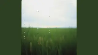 Cold Summer