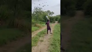 Flying Bat Hunting 😱🦇 #youtubeshorts #viralvideo #hunting #entertainment #flying #yt #bats