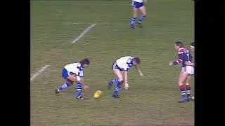 Winfield Cup 1991: Round 17: Eastern Suburbs Roosters VS Canterbury Bankstown Bulldogs