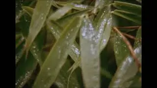 Nizo 481 Macro 1386105