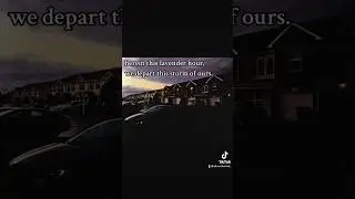 𝐥𝐚𝐯𝐞𝐧𝐝𝐞𝐫 𝐡𝐨𝐮𝐫