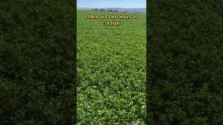 Two ways to cut hay. #farming #agriculture #hay #shorts #field #work