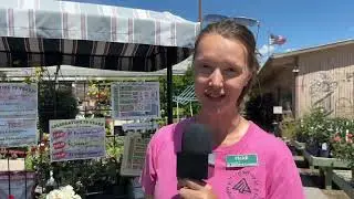 TV Garden Guy broadcasting from Millcreek Gardens - TVGG0619