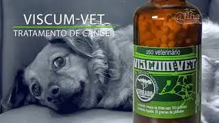 Viscum-vet &mdash; O melhor tratamento de c&acirc;ncer para c&atilde;es e gatos #viscum #ailha www.ailha.com.br