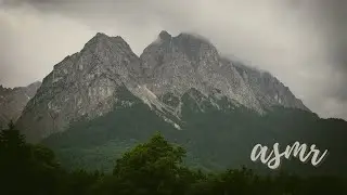 ASMR 🌳 Nature and cows 🐮 (English & German)