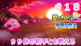 俺は９９人の知らない人と戦ってくる　#１８　【星のカービィWii　デラックス】