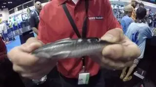Livetarget Hollow Belly Mullet (Icast 2017)
