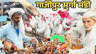 ग़ाज़ीपुर मुर्गा बाजार रेट दिल्ली 2025| Ghazipur MurgaMandi Delhi Today Price| wholesale fish pric|