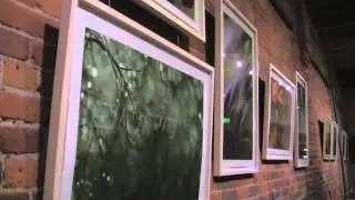 Budding Forms Art Show by Ildiko Laszlo 2014