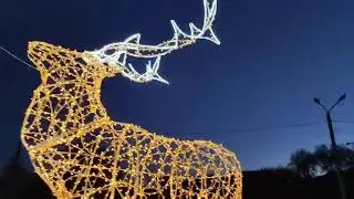 Enjoy winter holidays in Odessa, Ukraine!