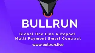 How to work bull run smart contract convert to 0.05 to 300 Eth only 5 day auto pool incom daily